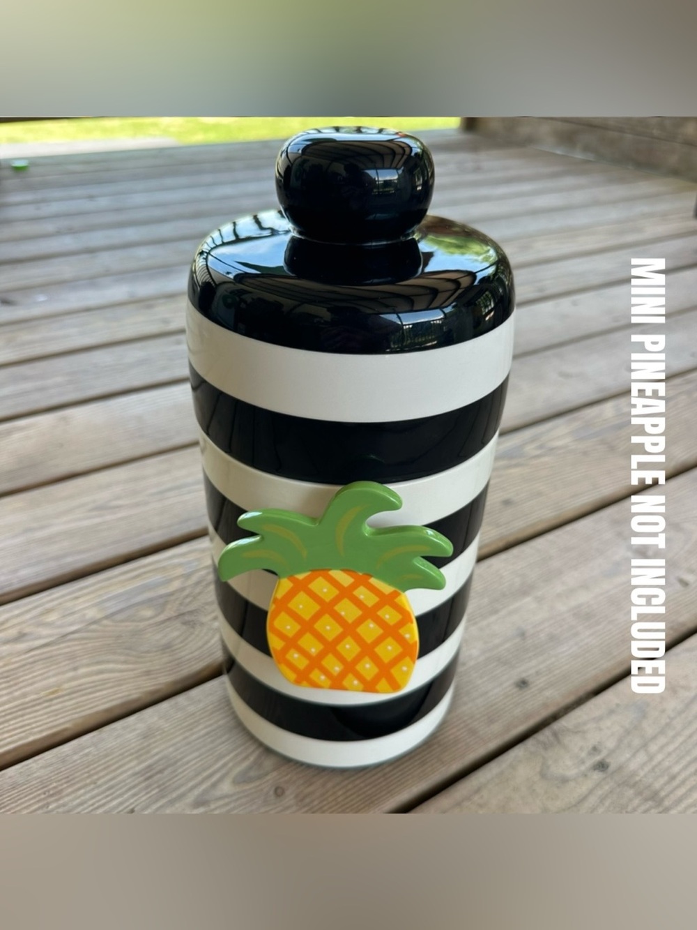 Coton Colors Happy Everything Striped Black White Canister for Mini Attachment